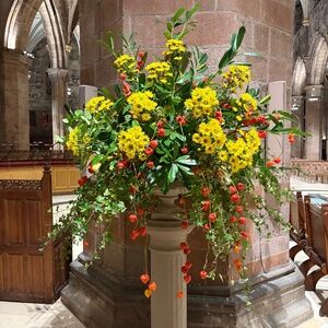 Meet your Posher, Allison